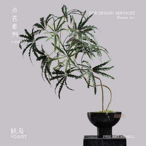 妖及仿真孔雀木落地盆栽摆件