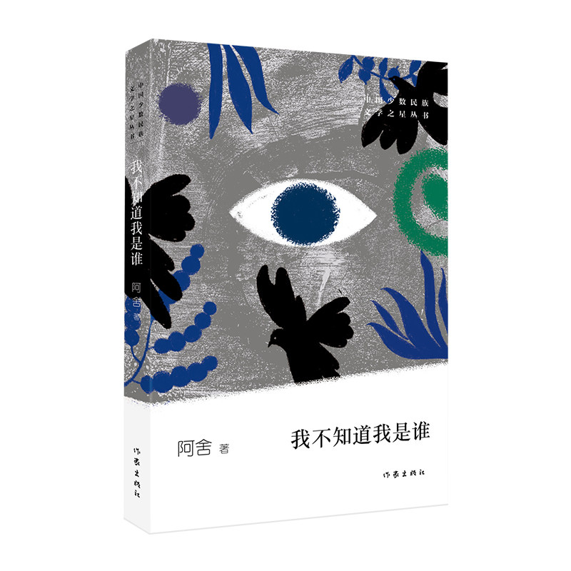 我不知道我是谁  阿舍 著 一本征用少时记忆书写成长风景的散文集