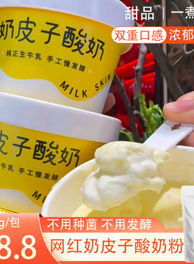 可出口国外奶皮子酸奶不用发酵