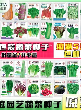 蔬菜种籽大全四季可播香菜菠菜生菜小葱阳台盆栽庭院大田蔬菜种孑