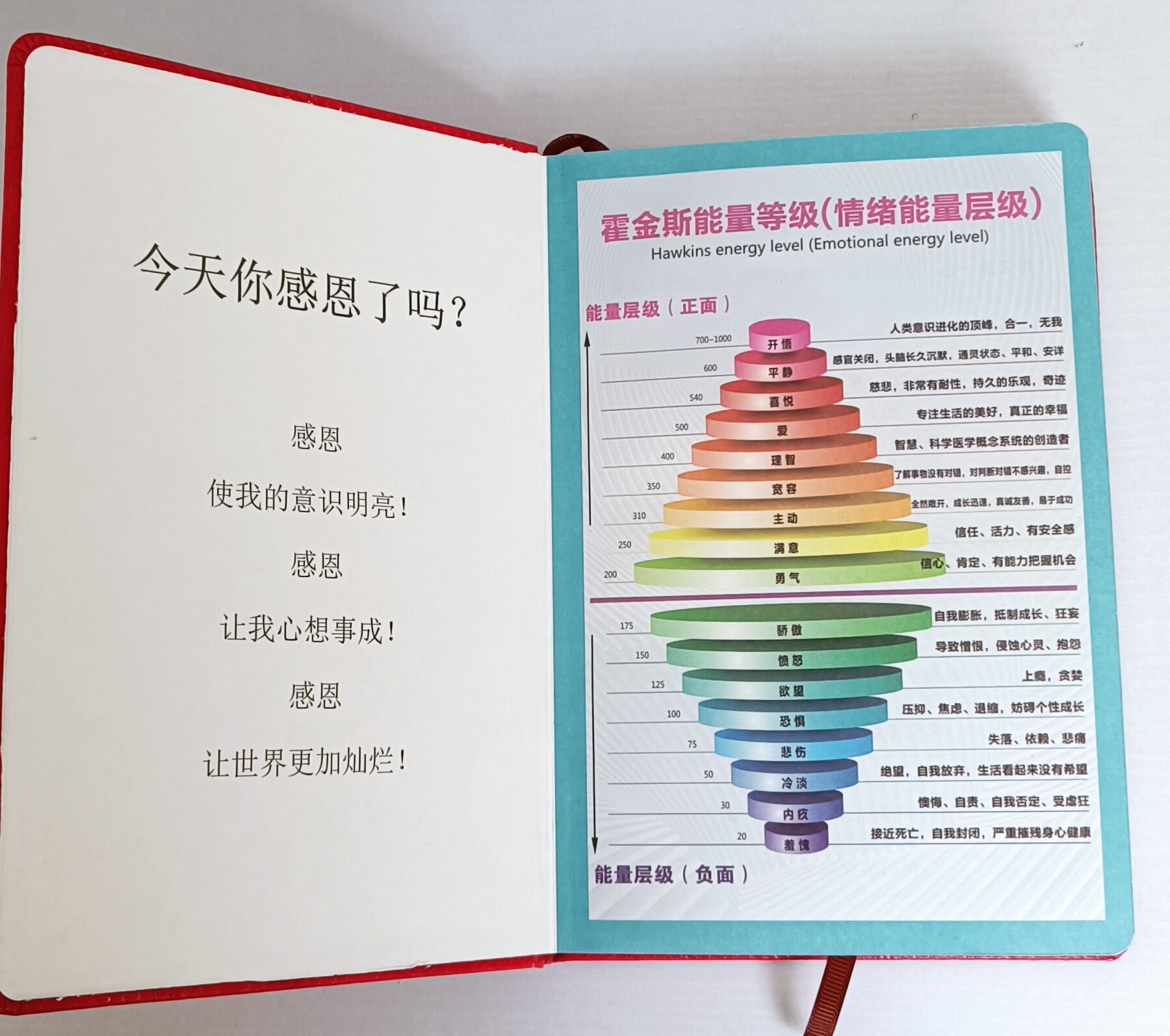 제로 리미트 청소 및 재설정 도구 업그레이드 버전 레드 감사 일기장 감사합니다 사랑합니다 물은 답을 알고 있습니다