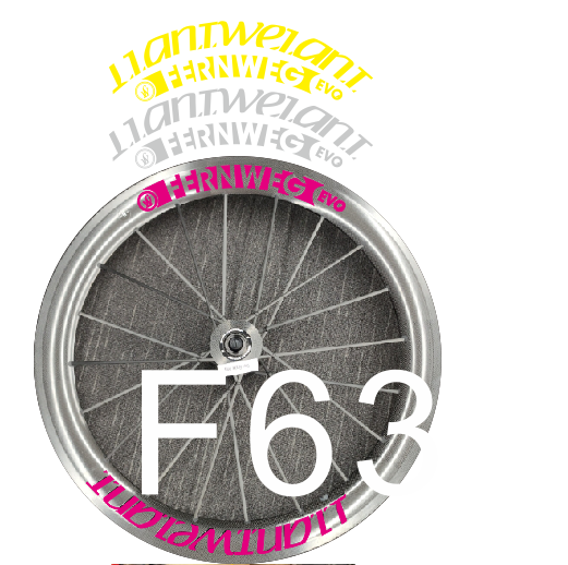 lightweight OVE F63轮组贴纸一车份