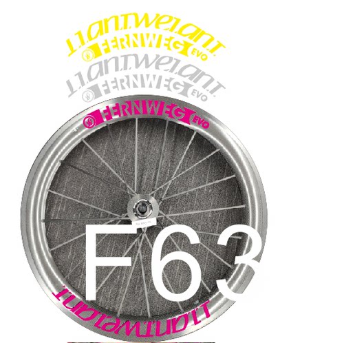 lightweightOVEF63轮组贴纸