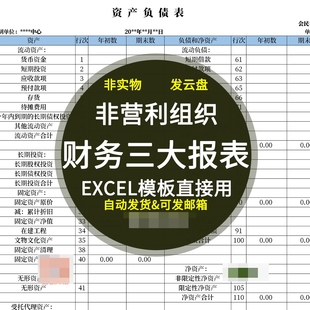 非营利性组织财务三大报表模板非盈利现金流量资产负债业务活动表