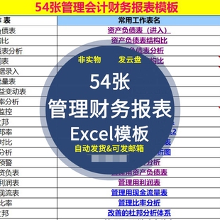 管理用财务报表模板自动生成 Excel表格模板 财务会计常用表