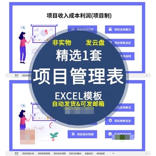 项目利润管理系统excel表格多项目收款成本费用支出明细台账登记