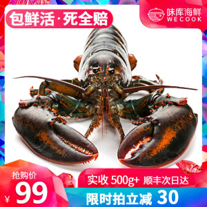 双重优惠：89元包邮  WECOOK 味库 鲜活加拿大龙虾 450~550g 1只