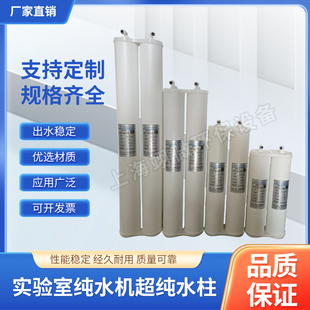 实验室纯水机超纯水柱/纯化柱/预处理柱/双通道UP水柱阴阳离子柱