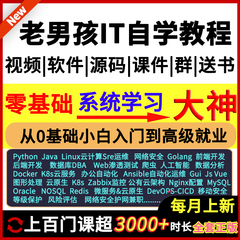 IT自学编程python/Linux云计算运维网络安全ai数据库dba/go课教程