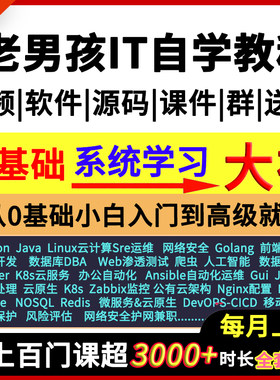 IT自学编程python/Linux云计算运维网络安全ai数据库dba/go课教程
