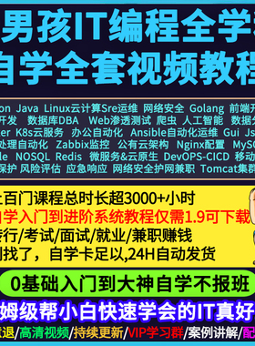 Python编程/Linux运维/网络安全/k8s数据库/go前端ai课程视频教程