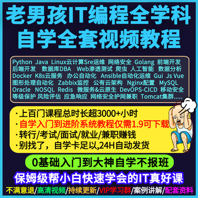 Python编程/Linux运维/网络安全/k8s数据库/go前端ai课程视频教程