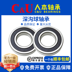 人本轴承6216TD高端6217高速6218 6219 6220 6221 6222 6224 2RZ