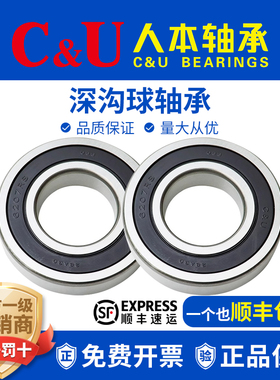 人本轴承6216TD高端6217高速6218 6219 6220 6221 6222 6224 2RZ