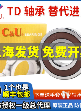 人本轴承TD系列大全6205 6206 6207 6208 6209 6210 6211 6212RZ