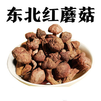 东北肉蘑土特产新货农家红蘑菇松树伞钉红松伞松蘑食用菌干货蘑菇