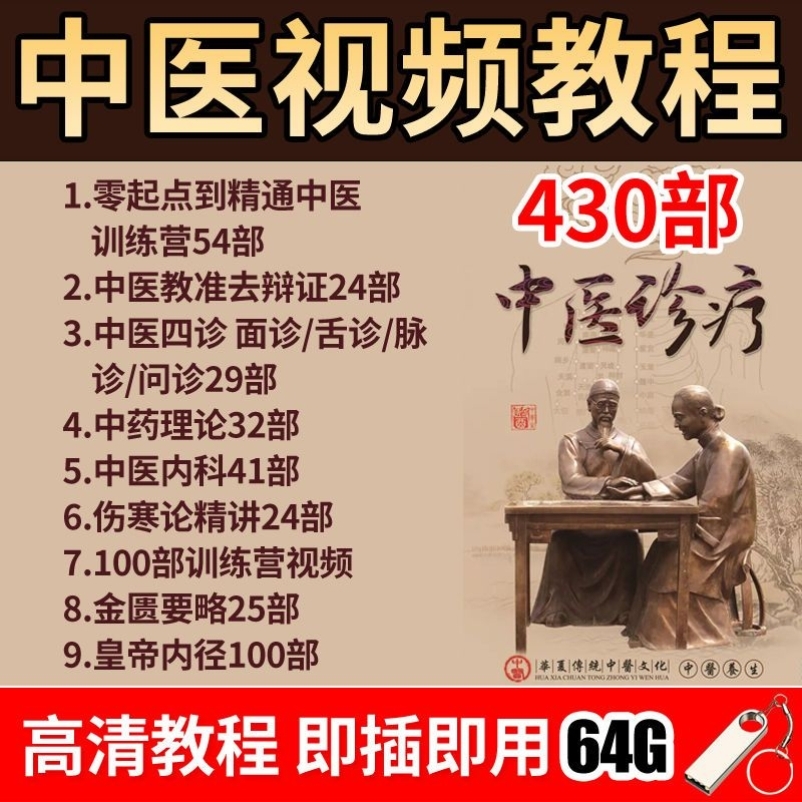 中医教学影片U盘中医教程大全中医基础理论 中医诊断学完整版mp4