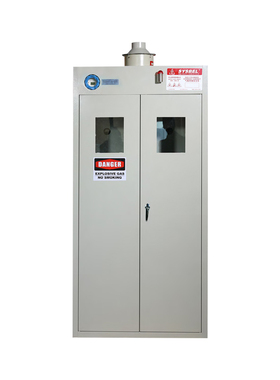 西斯贝尔/SYSBEL WA730102 WA730103两三瓶型钢制智能防爆气瓶柜