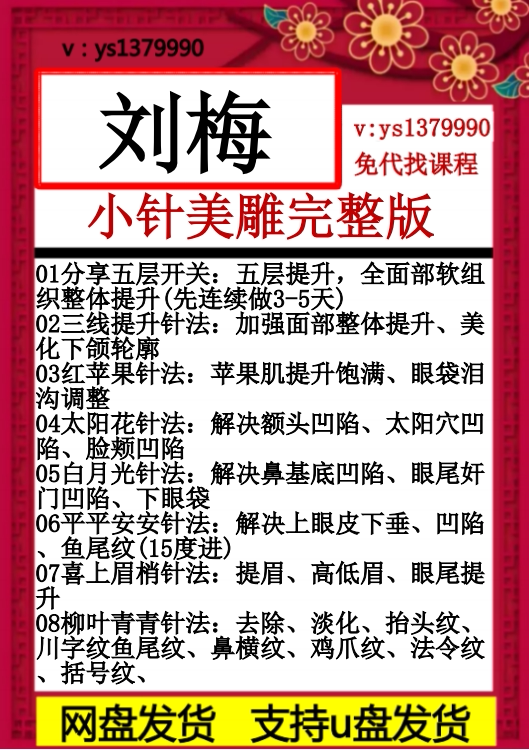 刘梅-小针针灸美雕技术精品推广班 中医视频课程全集针灸美雕课程