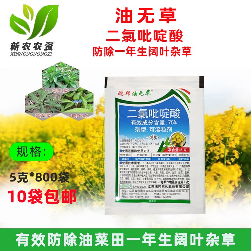 瑞邦油无草龙权75%二氯吡啶酸 玉米田刺儿菜大蓟小蓟苣荬菜除草剂 - 实物图