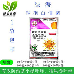 绿海绿谐球孢白僵菌400亿孢子/克玉米螟虫茶小绿叶蝉微生物杀虫剂