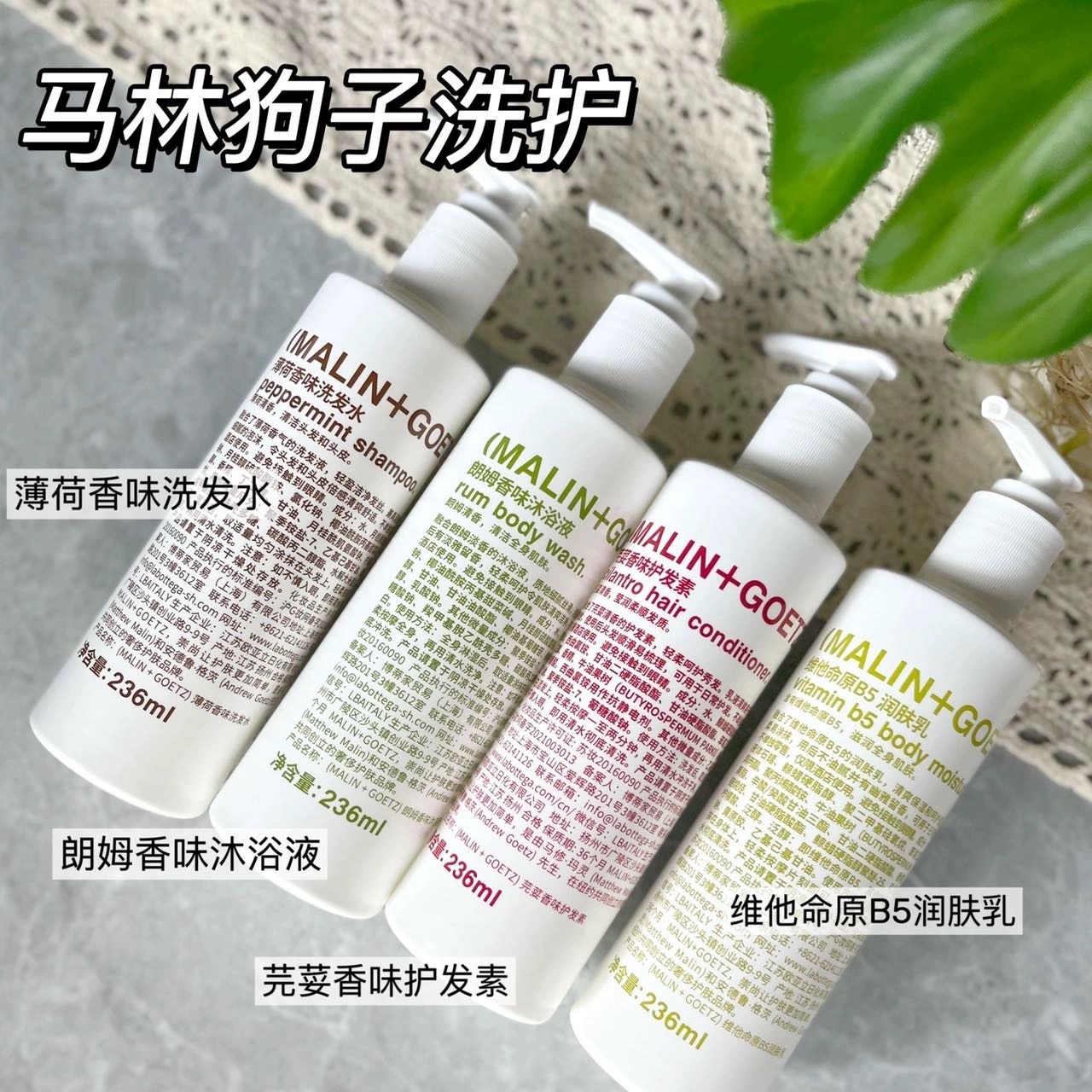 稀缺！马林狗子薄荷洗发水芫荽护发素 朗姆酒沐浴露 B5润肤身体乳