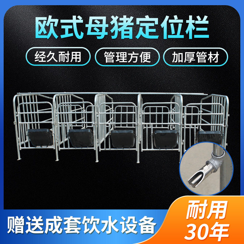 2.5厚热镀锌欧式母猪定位栏