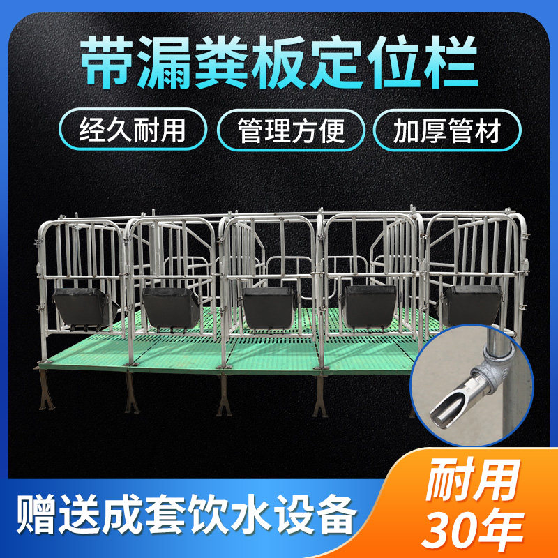 5厚热镀锌母猪定位栏带食槽限位栏两用母猪隔离栏复合漏粪板床
