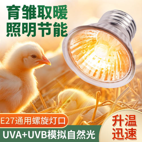 芦丁鸡饲养箱保温灯爬宠太阳灯