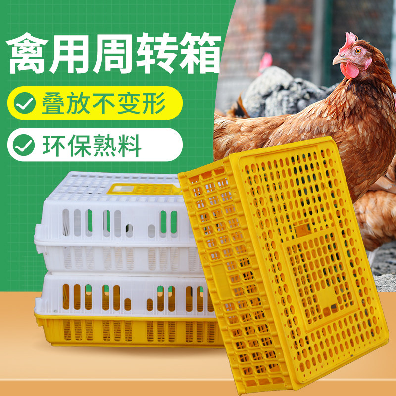 鸡笼塑料周转箱成鸡鸭鹅运输筐