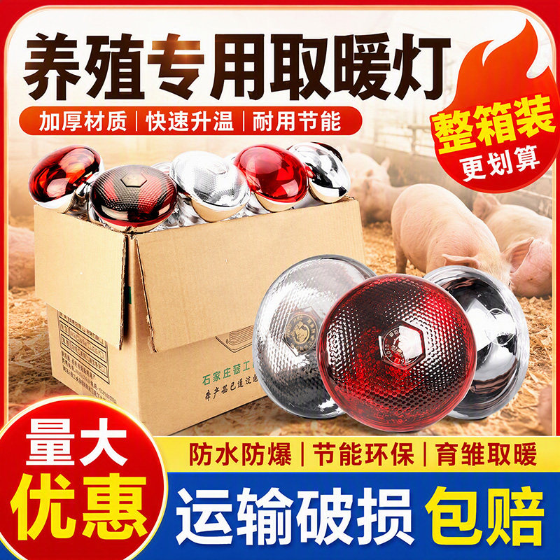 猪博士兽用保温灯养殖场专用取暖