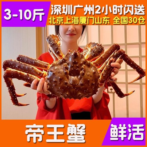 鲜活帝王蟹特超大俄罗斯螃蟹海鲜