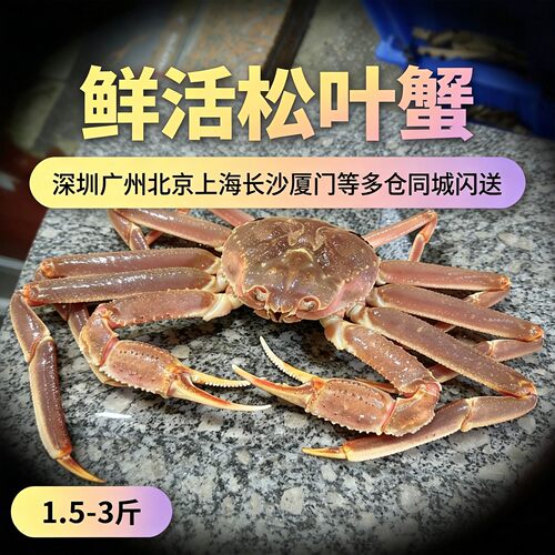 俄罗斯鲜活帝王雪蟹750g