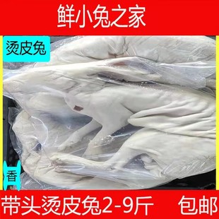 烫皮兔新鲜现杀去毛带皮兔子整只带头带脚去内脏真空包装冷冻发货