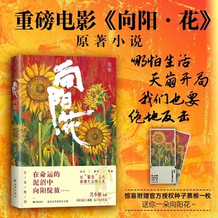 聚焦边缘群体生存困境与人性挣扎 于困境中挣扎 豁出去 向阳花 活下来 不认命 电影原著小说 不服输 在泥潭里开花