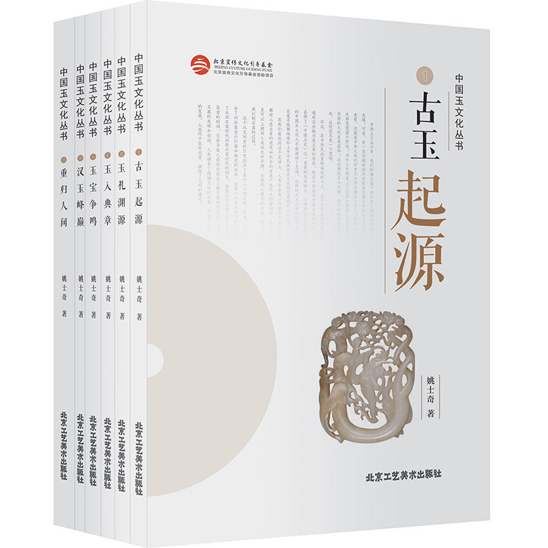 官方正版 中国玉文化丛书(1-6) 工艺美术资料丛书 历史器皿图案 玉雕 北京工艺美术出版社 传统手工艺文化 雕塑书籍