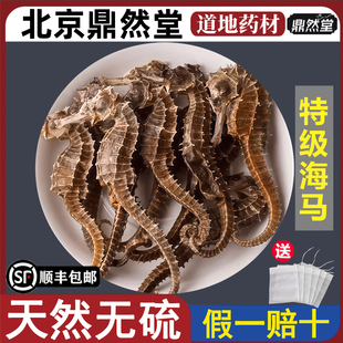 北京鼎然堂特级海马三斑海马干货泡酒海龙大海马煲汤配对公母地道