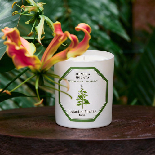 carriere freres法国植物学家cf香薰蜡烛荷兰薄荷高级感节日氛围