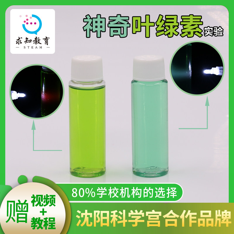 科学实验材料包儿童趣味实验玩具提取神奇叶绿素化学DIY手工
