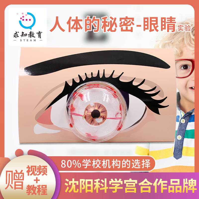 眼睛diy眼睛益智早教拼图玩具