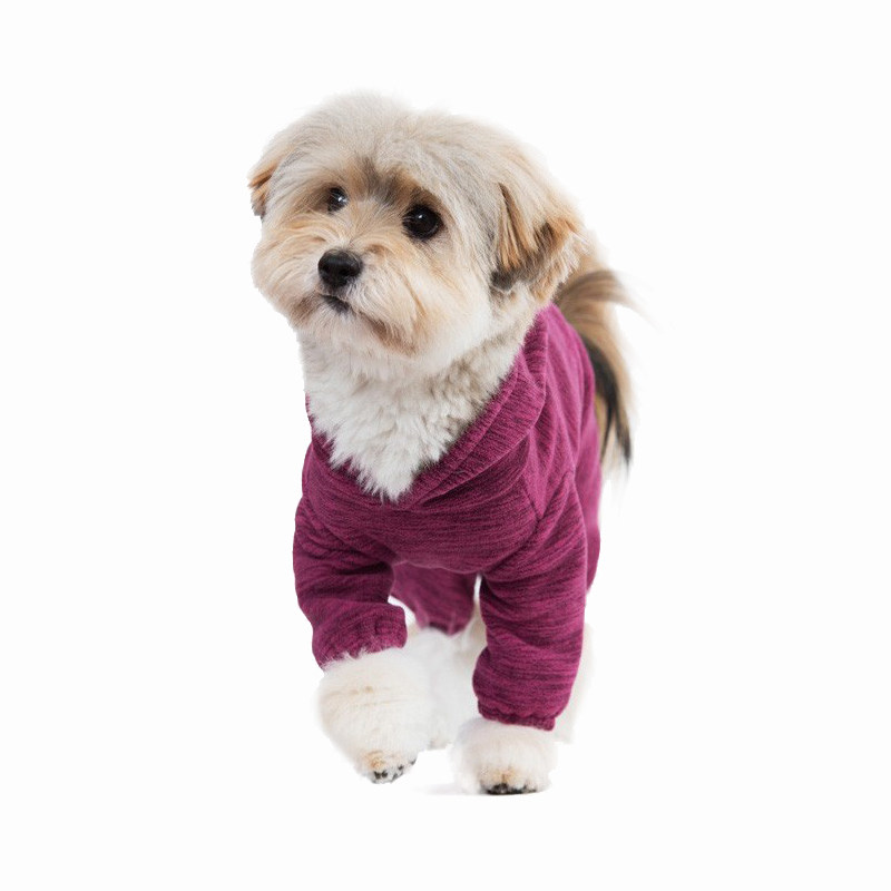 sniff宠物狗狗猫咪秋冬季花边训练连体服运动服泰迪法斗小狗衣服