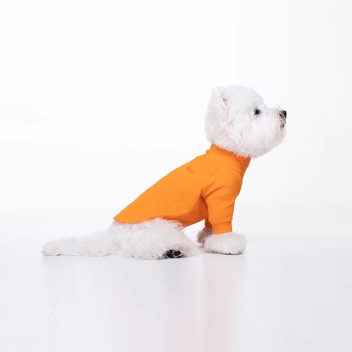 时尚宠物打底衣服Sniff狗狗猫咪