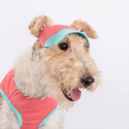 Sniff宠物狗狗猫咪撞色网眼遮阳帽泰迪法斗宠物时尚服饰新品