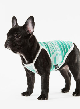 sniff宠物狗狗猫咪小型犬春夏薄款衣服断码清仓链接1性价比高