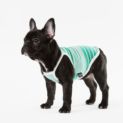 sniff宠物狗狗猫咪小型犬春夏薄款衣服断码清仓链接1性价比高