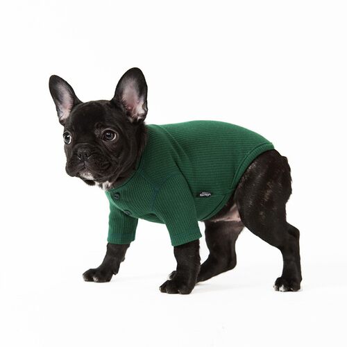 狗狗猫咪打底T恤sniff中小型犬
