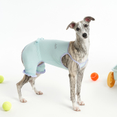 Sniff宠物狗狗猫咪春夏防紫外线南瓜裤 宠物防晒衣服新品