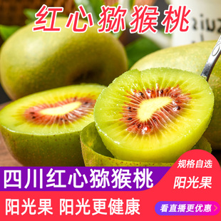 果窝镇现货红阳四川红心猕猴桃应季当季泥猴桃现摘新鲜水果奇异果