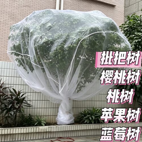 果树防虫网罩网袋蓝莓樱桃桃树葡萄莲雾枇杷蔬菜花卉绿植防鸟网