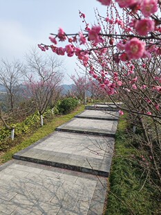 吕文艺自然科学环境学吕氏时空人黄友健入门班钉钉群直播视频